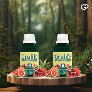 Oralife (250 ml each pack of 2): Oral Care Redefined By The Goodness Of Nature!